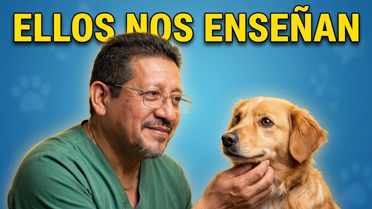 MIÉRCOLES DE MASCOTAS | PROGRAMA 3 “Cuando una mascota se convierte en maestra”