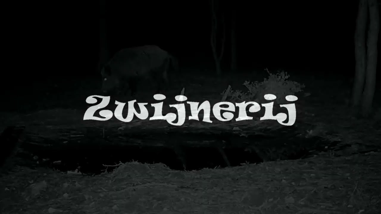 Zwijnerij op de Veluwe movie