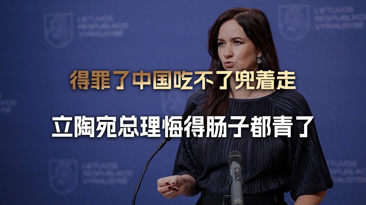 立陶宛总理很后悔：为了台湾得罪大陆没好处，我们吃不了还兜着走