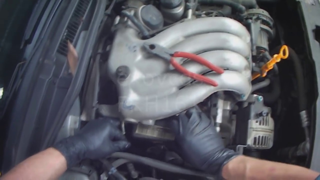 VW A4: 2.0L Water Pump Removal