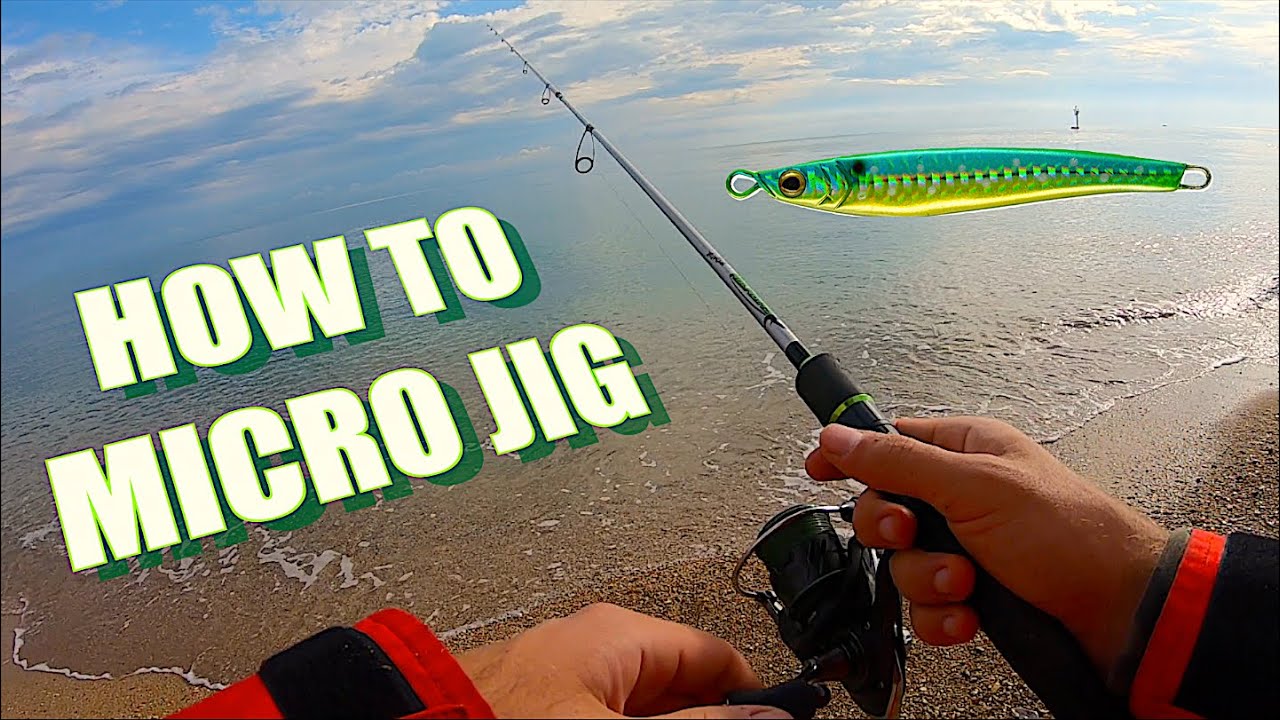 Cattura INASPETTATA con il Micro-Jig in Mare! + Consigli su come animare questa mia ESCA PREFERITA