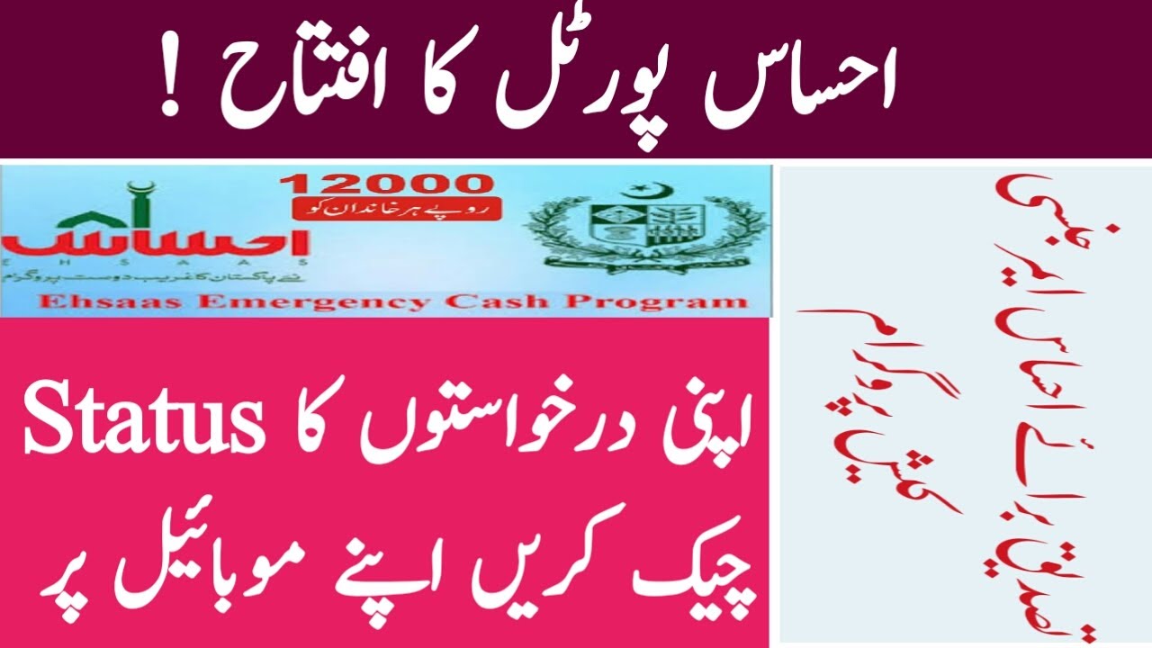 how to check ehsaas emergency cash program application status | new ehsaas Portal