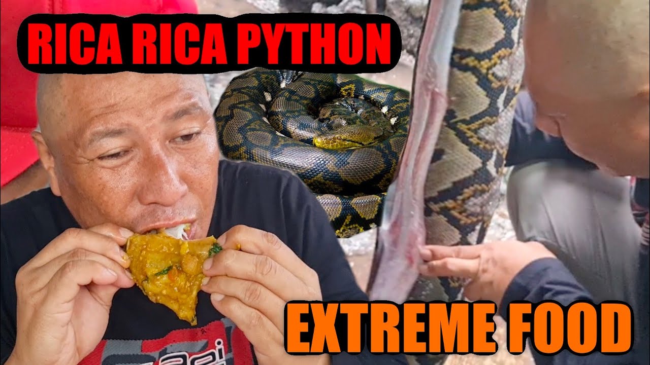 Bushcraft, Piton bisa jadi santapan lezat 