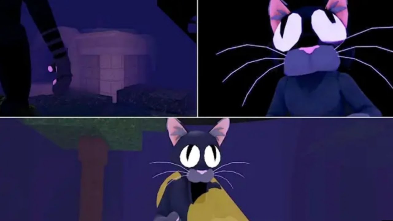 🚨Vendo mais coisas do gato com minha irmã🚨