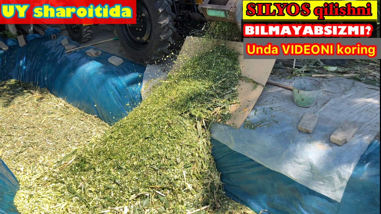 SIZ soragan UY sharoitida SILYOS qilish SIRLARIDAN. Albatda koring FOYDALI
