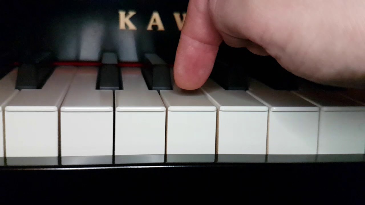 Kawai VPC1 - Kawai RM3II keyboard action - 1