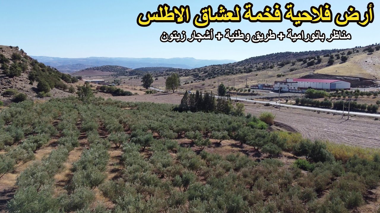 ✨لعشاق أراضي الاطلسية 19 هكتار محفظة قرب الطريق الوطنية للاستغلال والمشاريع الكبيرة ✨ خنيفرة