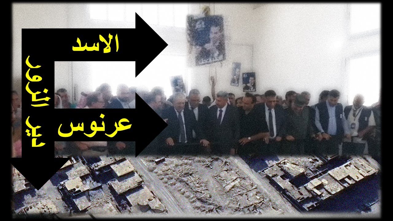 خرابة وفوق الخرابة عرنوس وفوق عرنوس الاسد !؟