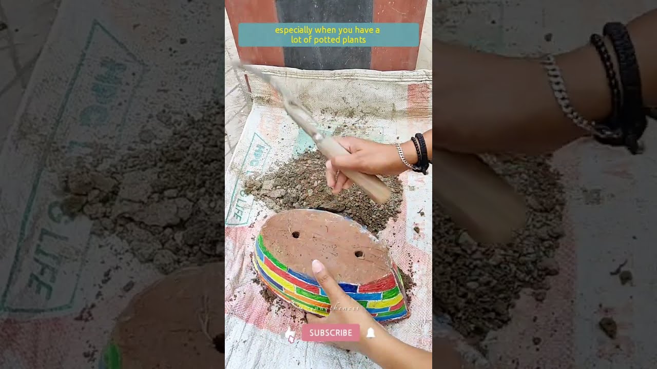 How to reuse old potting soil for new plants || Easiest technique to revitalise old potting soil