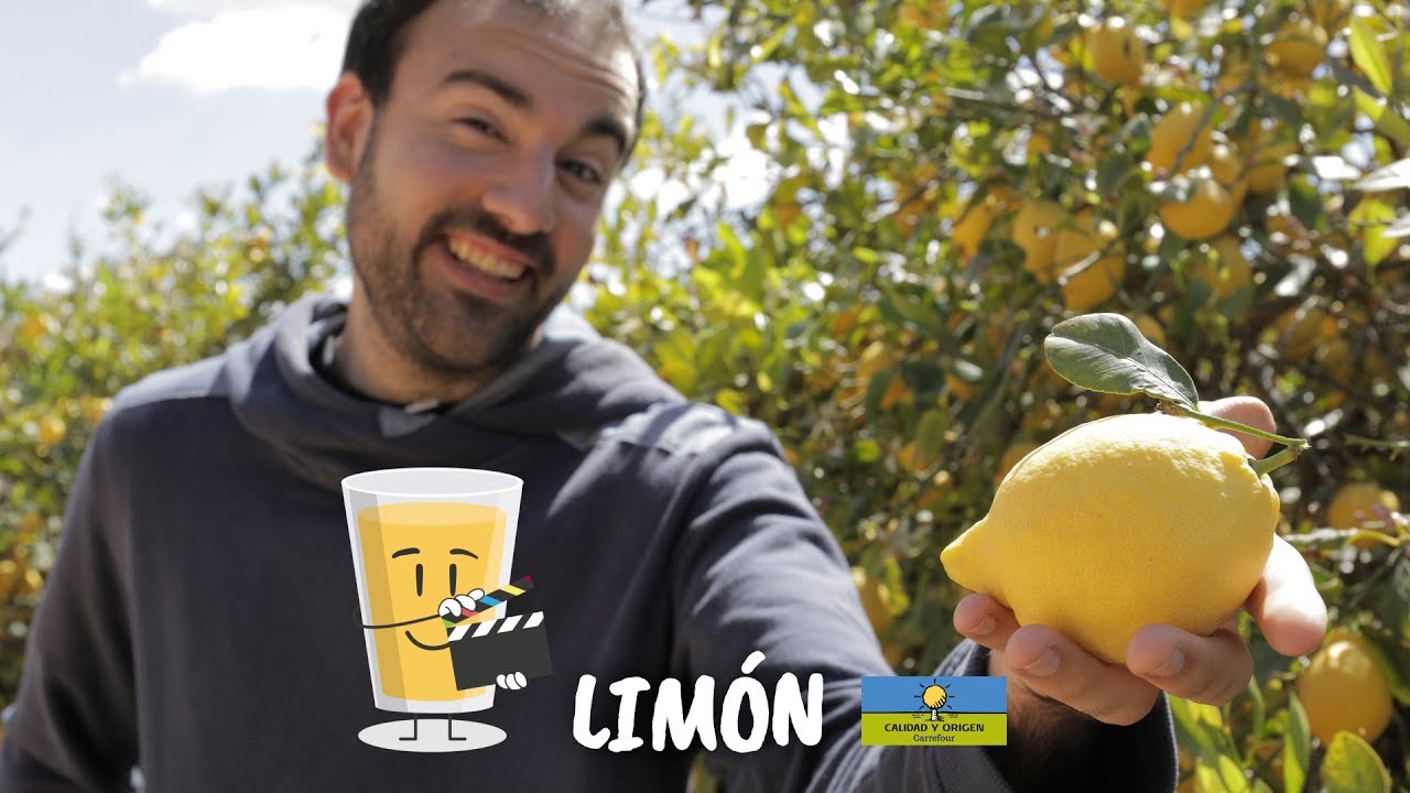 Cultivo y producción de limón