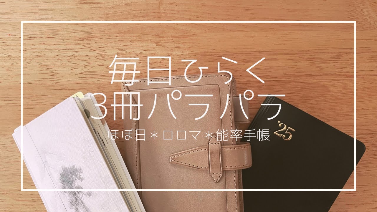 メイン手帳3冊パラパラ︴使い分けについてのお話︴ほぼ日weeks ︴ロロマクラシック︴能率手帳