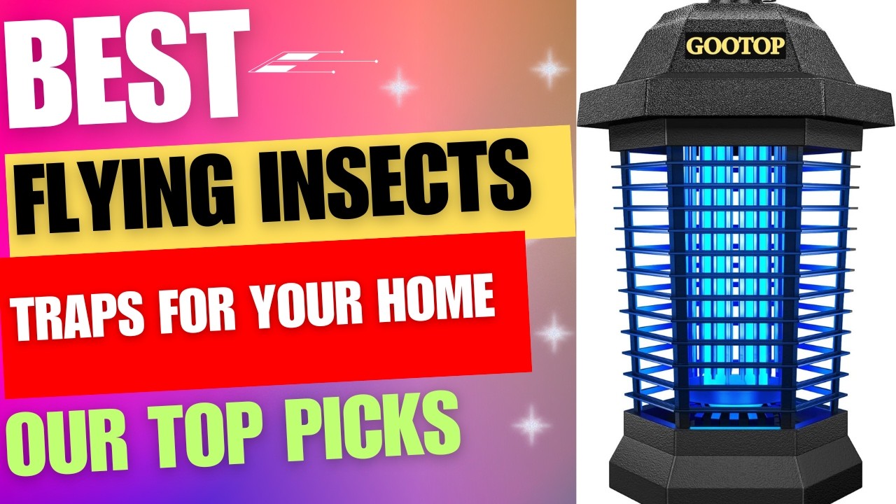 5 Best Flying Insect Traps for your Home
