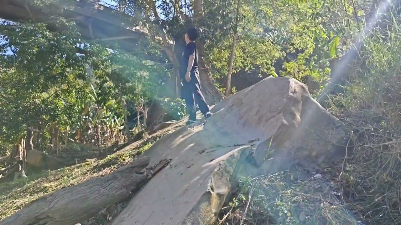Phuaibuang kal na video tawite(phullen ah ka u kan thlah pah bawk)😁