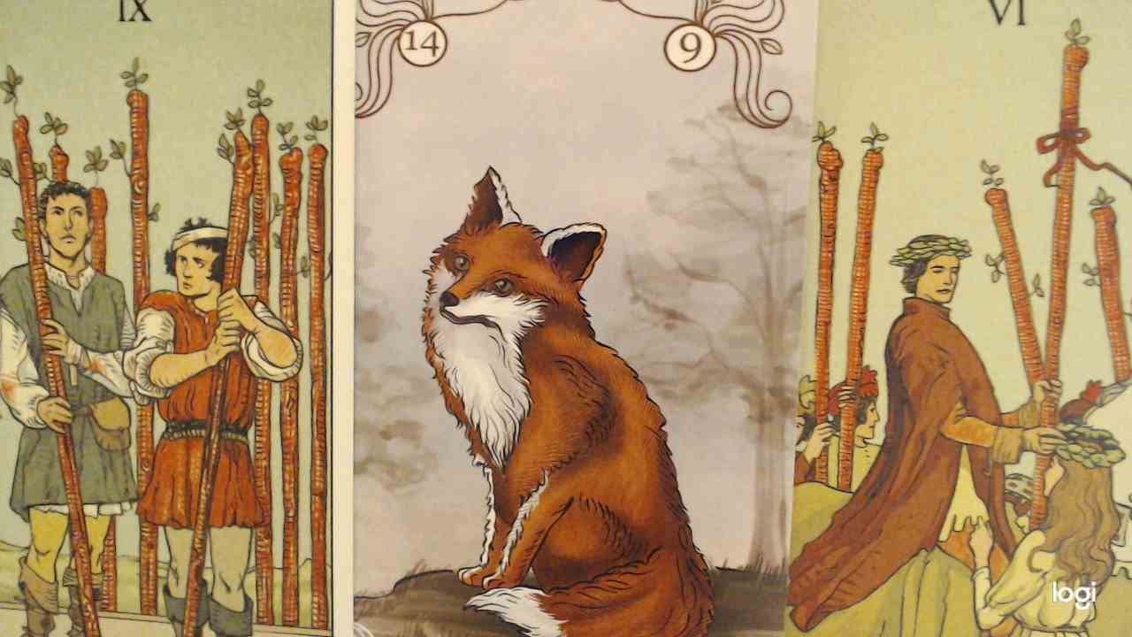 ❤️Гадание Таро на Рак🔮ЭТА ЛИСИКА наблюдает, ждет!!!🦊И СКОРО найдет ВАС...📨📞