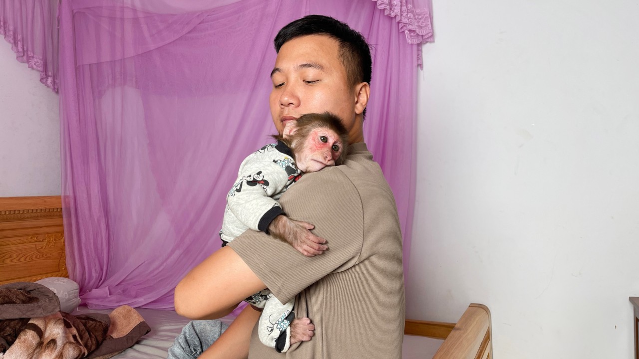 So Sweet… Monkey Cubis Can't Sleep Without His Dad 🥹