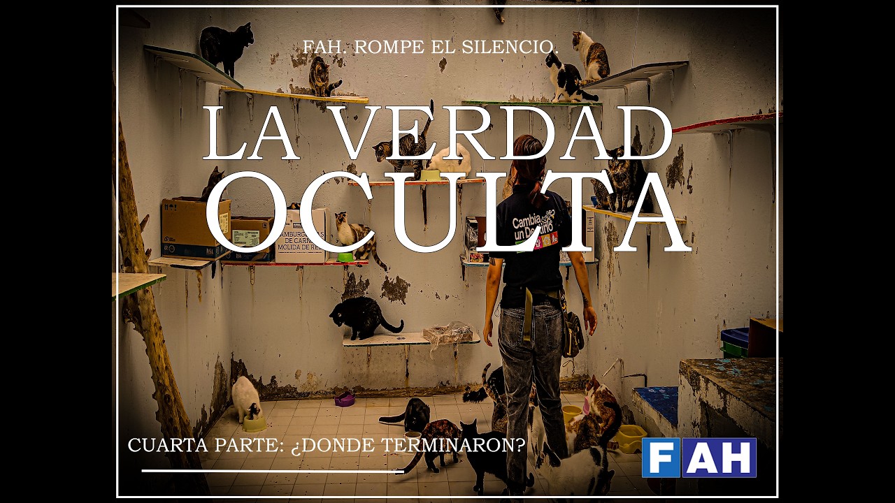 La Verdad Oculta | Capítulo 4: ¿Dónde Terminaron los Animales? – Caso Refugio Franciscano