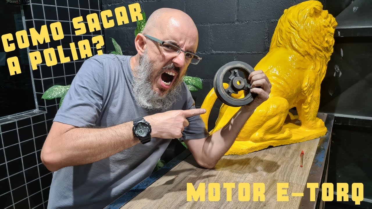 COMO SACAR A POLIA DO MOTOR ETORQ?!?!?!