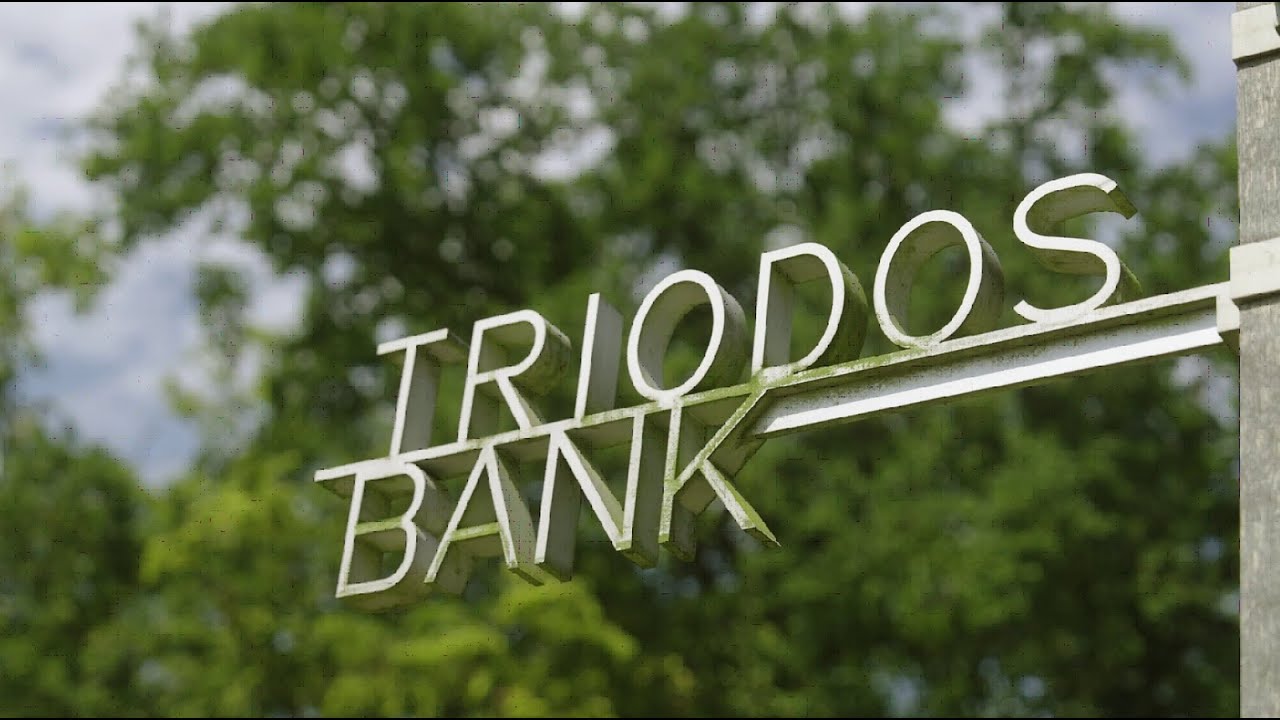 Resultados semestrales 2025 de Triodos Bank