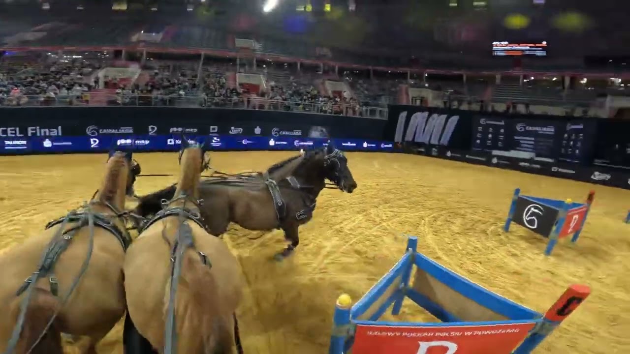 POV | CAVALIADA Kraków 2022 Zwycięstwo - Aleksander Fularczyk | Powożenie |