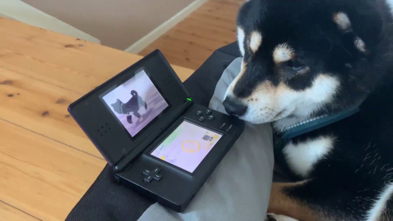 Max is gamer