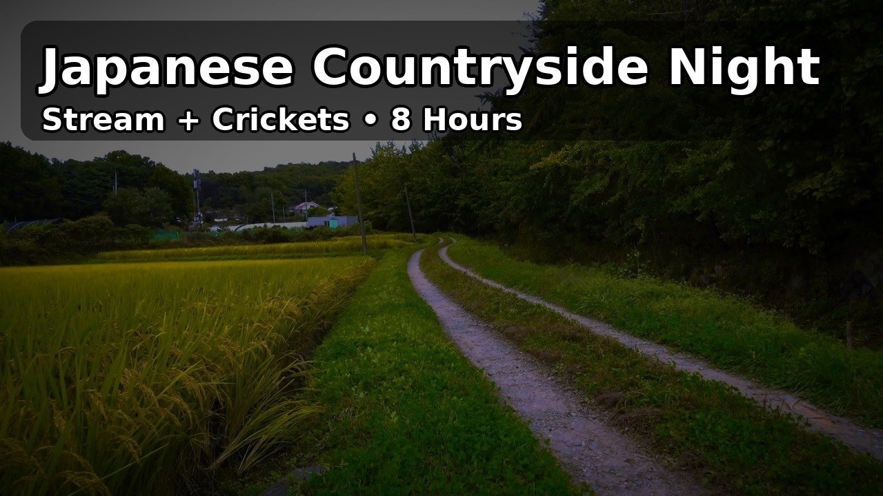 Crickets & Running Stream for Deep Sleep (8 Hours) | Peaceful Rural Night Ambience