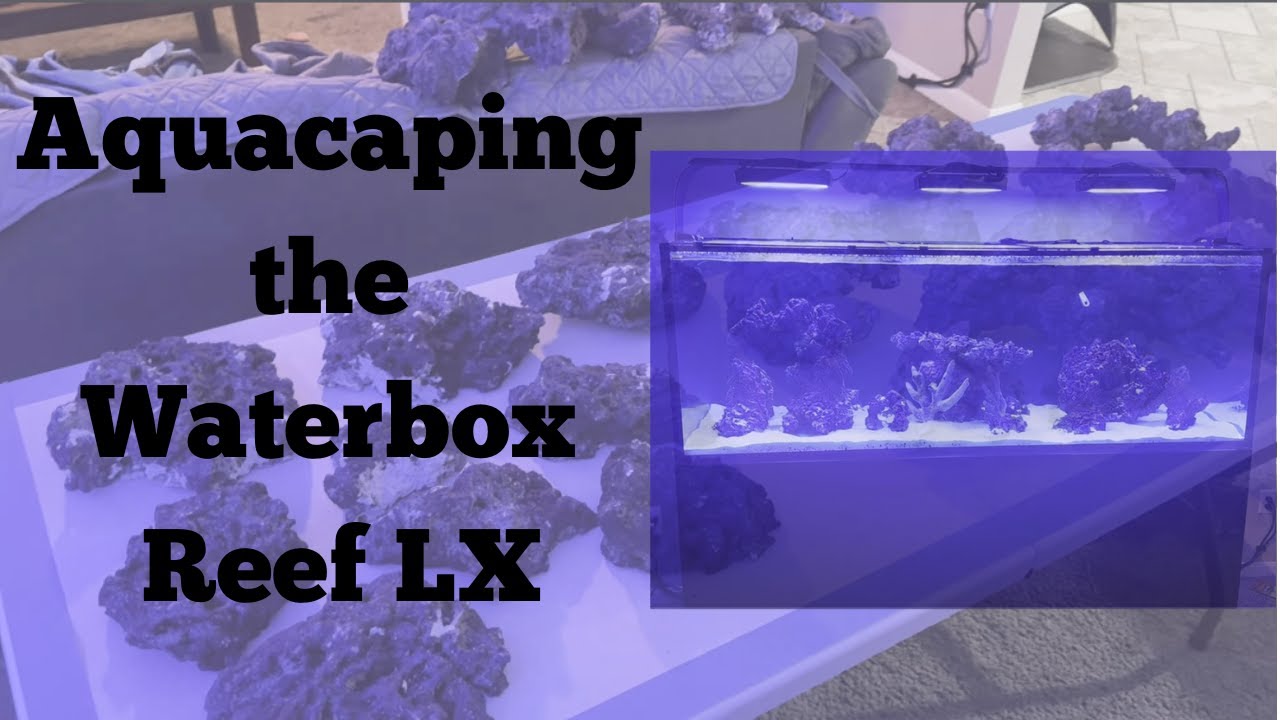 Reef LX Aquascape: What to Expect from Water Box's Reef Bundle