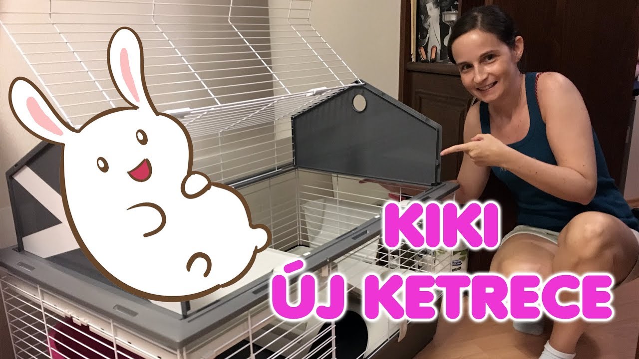 KIKI ÚJ OTTHONA 🐰🤗