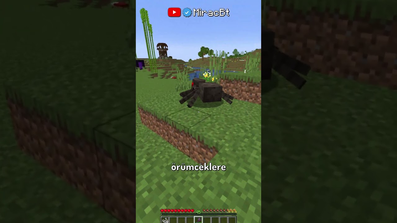 Minecraft'ta Keskinlik Mi Yoksa Darbe Mi Daha İyi?