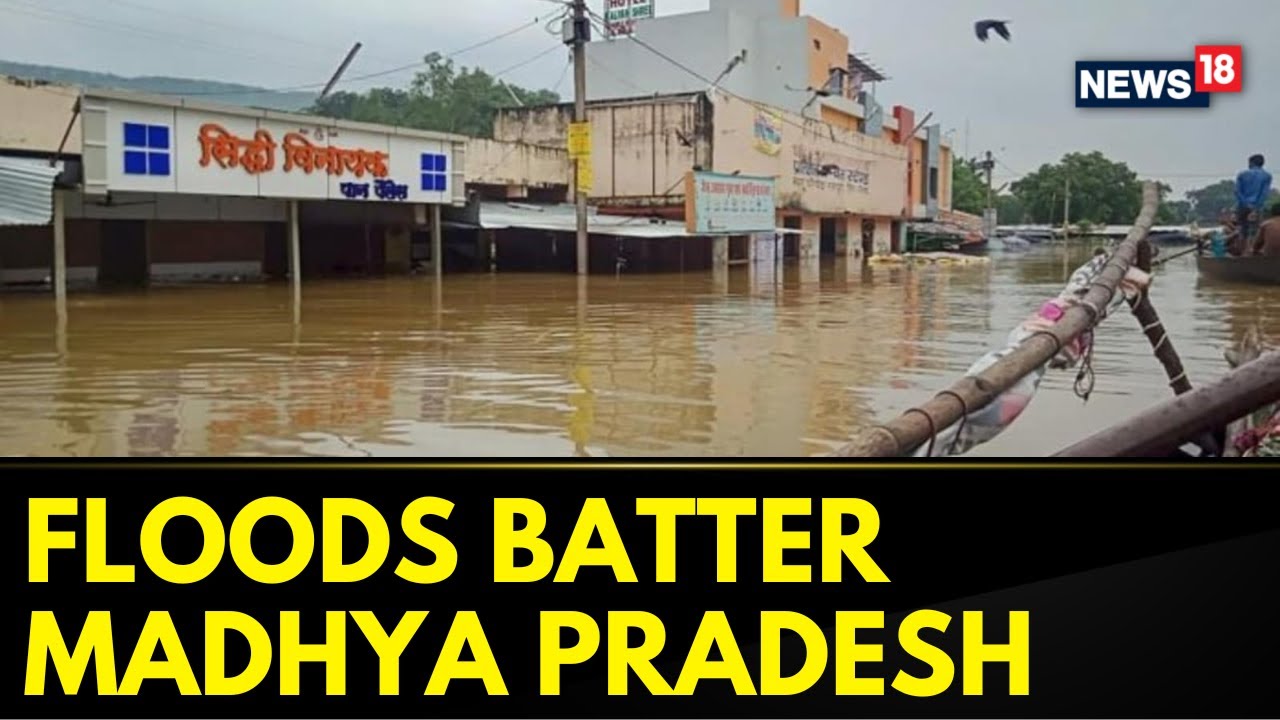 Madhya Pradesh Floods  | Heavy Floods Batter Madhya Pradesh | Rescue Operations Underway | News18