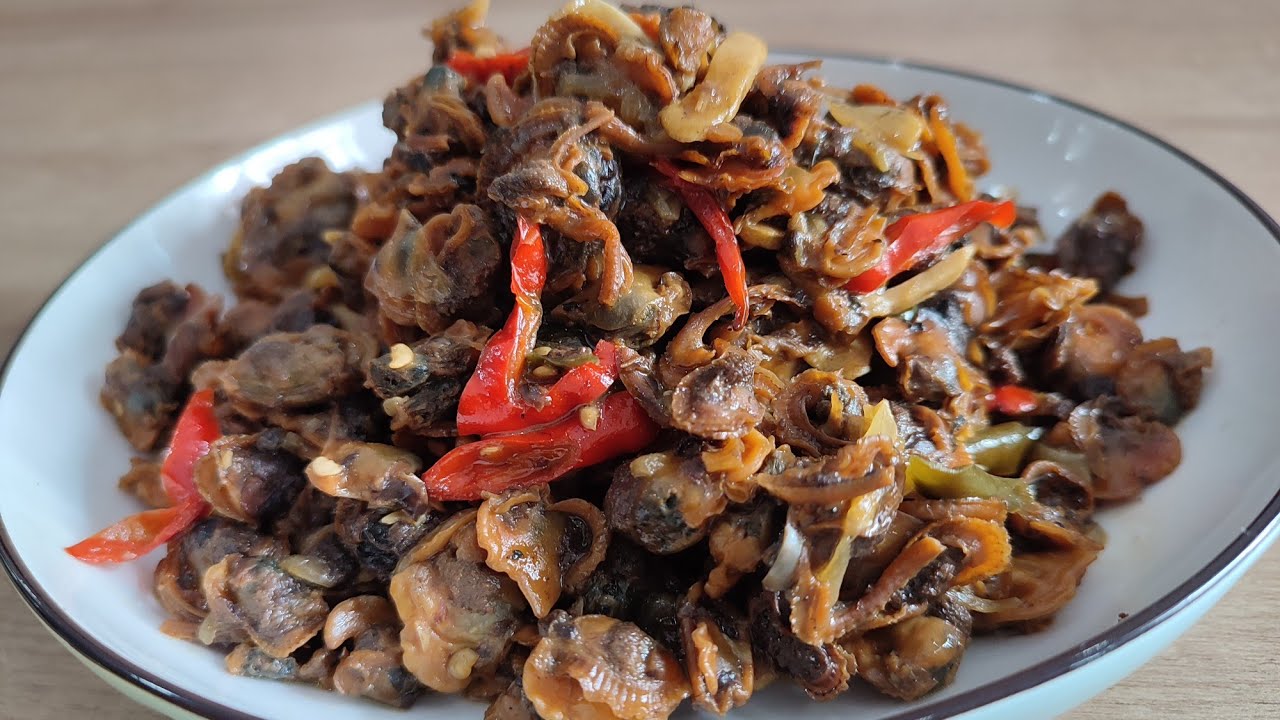 TUMIS KERANG DARA || Tips Masak Tumis Kerang Agar Tidak Amis. Dijamin Enak!!