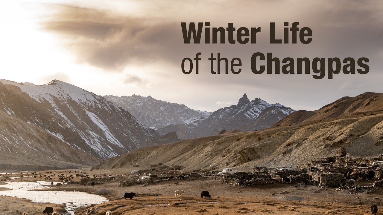 How Kharnak Nomads spend their Winters with THOUSANDS of Sheep & Goats
