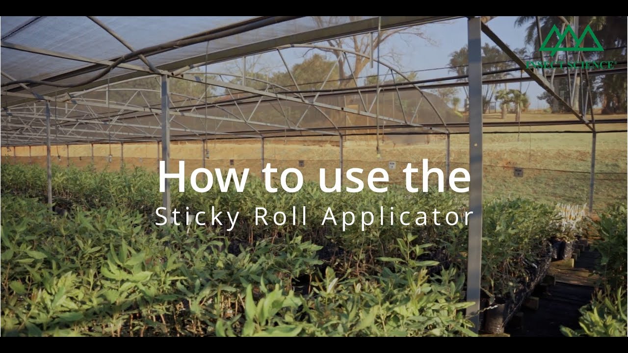 How to use the Sticky Roll Applicator | Insect Science