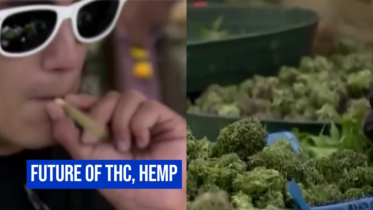 What&rsquo;s next for THC and hemp? New bills, regulations, and legal concerns