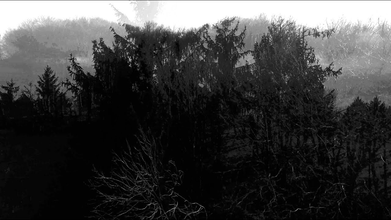 Dark Ambient - Vinterriket - Abendtann