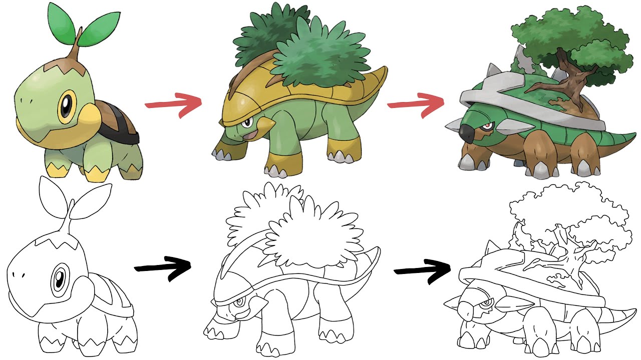 How To Draw TURTWIG GROTLE and TORTERRA POKEMON | Pokemon Evolution