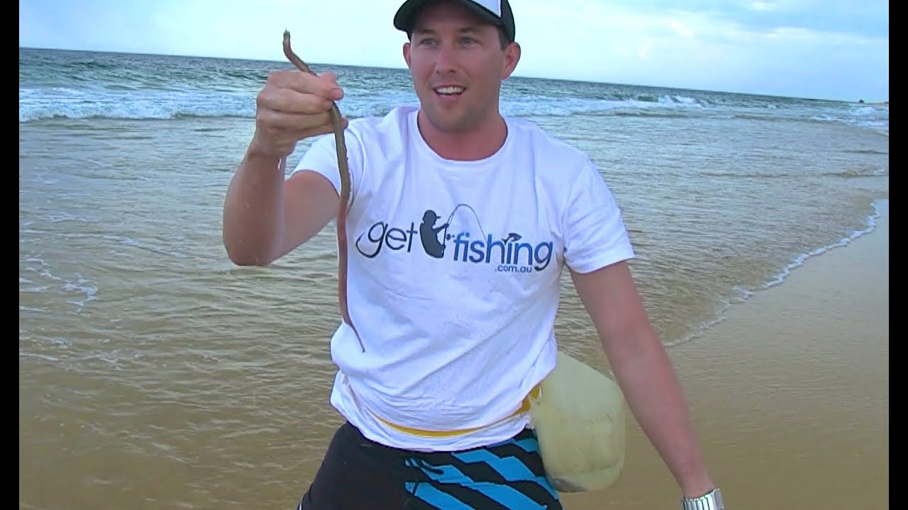 How To Catch Beach Worms