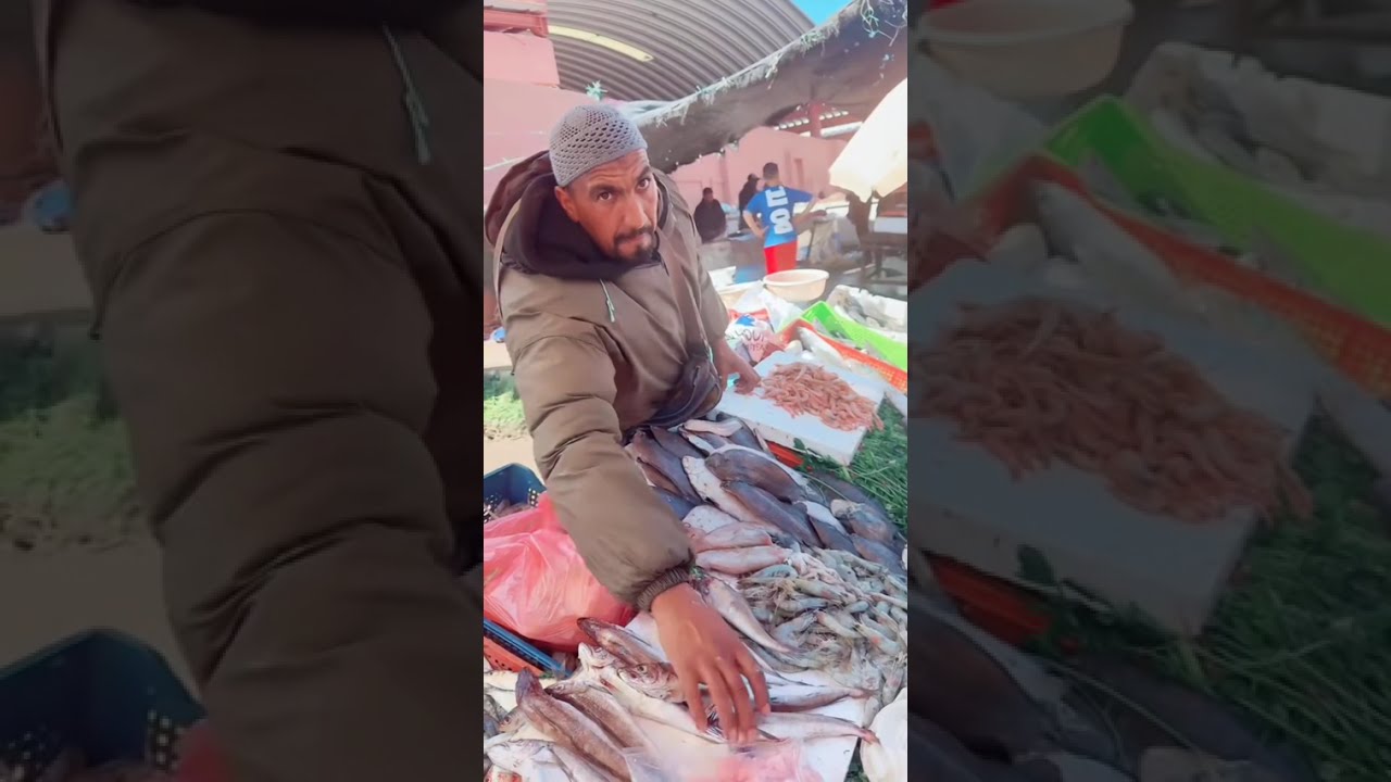 شحال التمن السردين 🐟 في مدينة ديالكوم 🚨🔥
