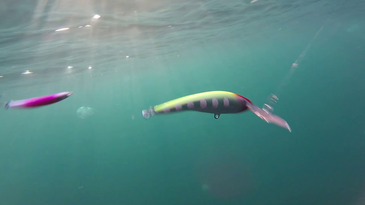 The trolling lures by Varna Fishing / Тролинг нокти в действие
