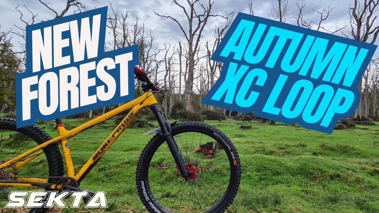 NEW FOREST MTB💥Awesome Autumn XC loop (Nukeproof Scout)