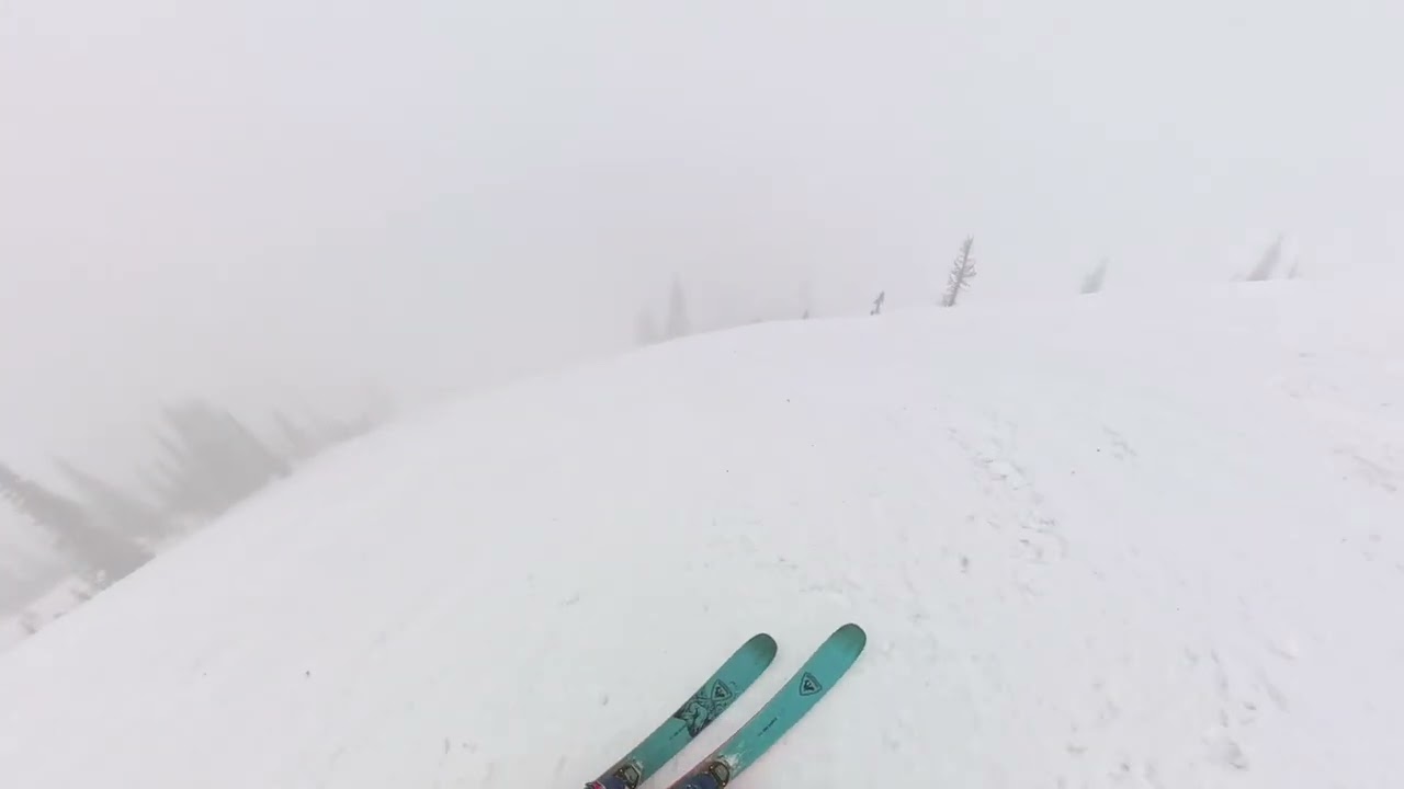 Schweitzer 3.8.26 - variable Spring conditions 