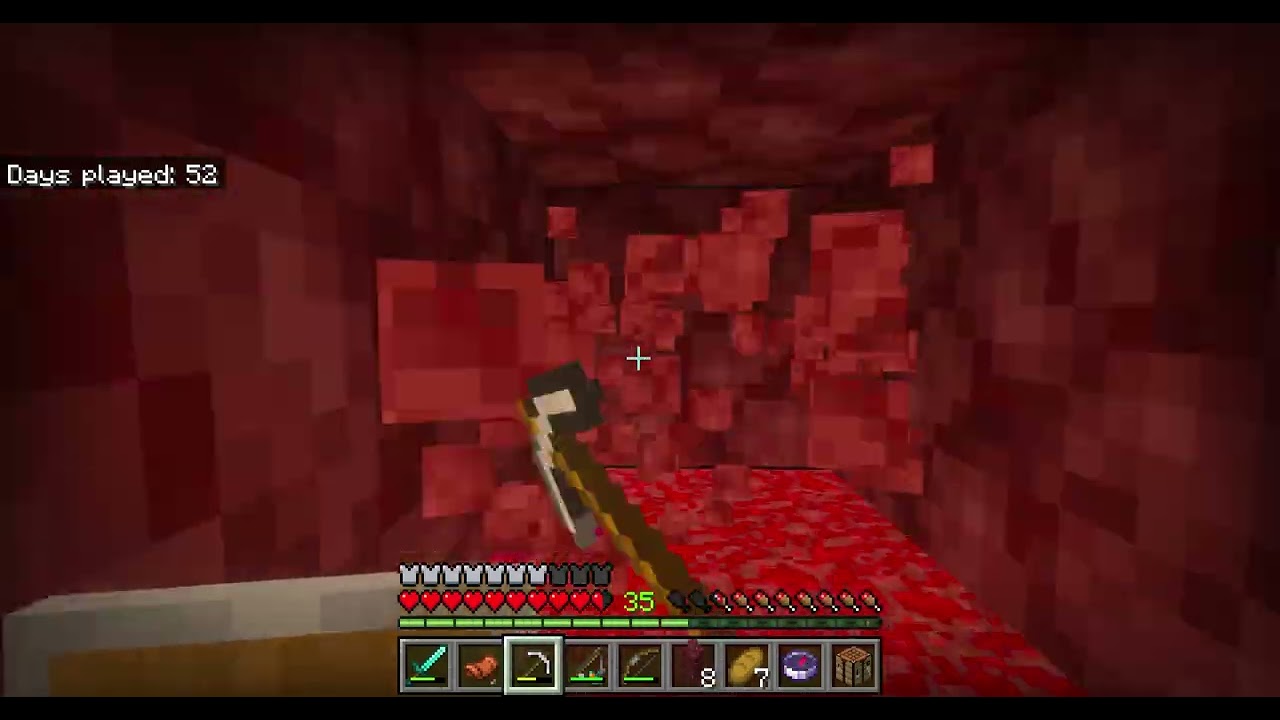 Quack Nation-preparing to fight the Minecraft Wither part 2 day 54