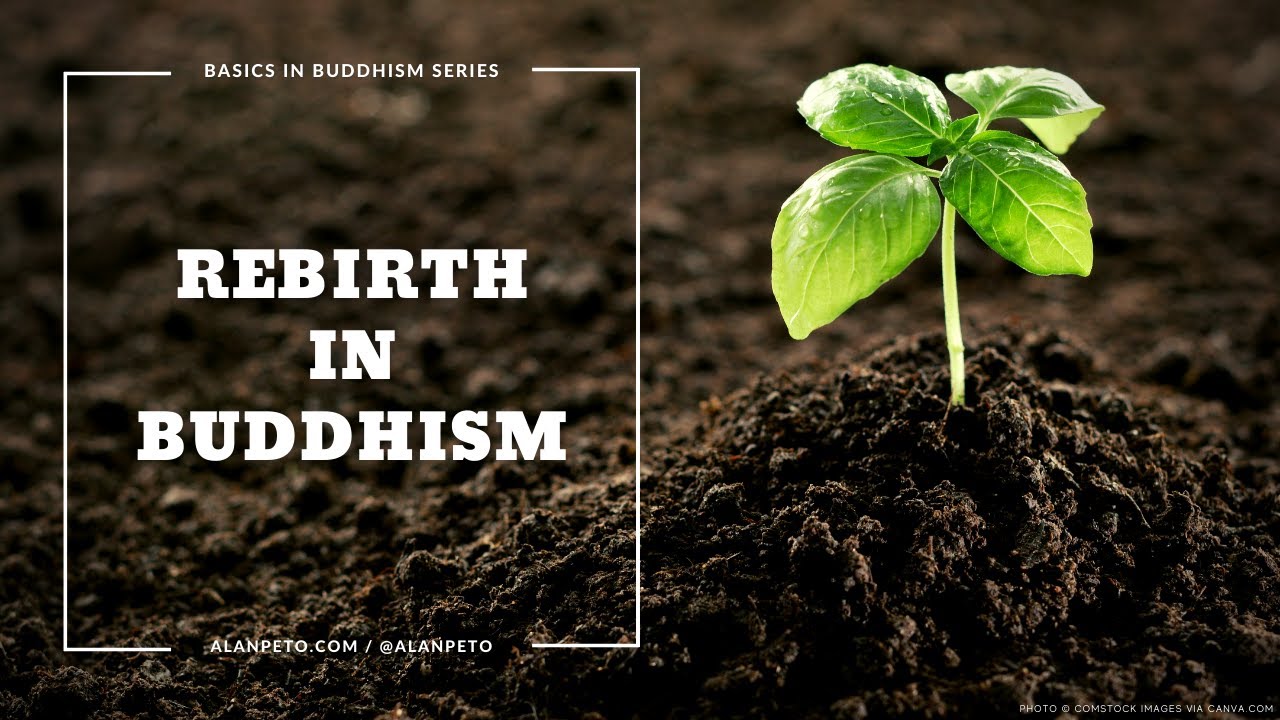 Rebirth vs Reincarnation in Buddhism