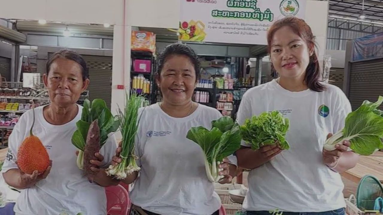 Promoting agricultural innovation in Lao PDR: the story of FAO’s TAP-AIS project