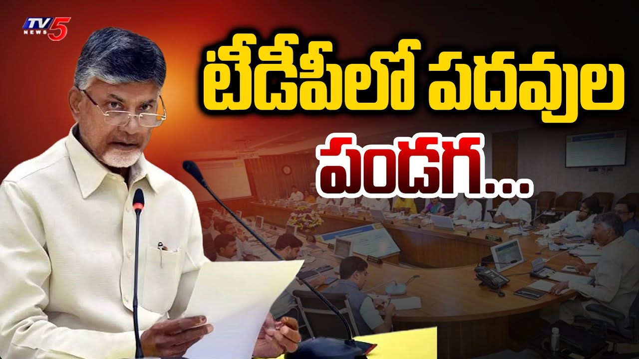 టీడీపీలో పదవుల పండగ...CM Chandrababu Special Focus On STATE Committees | TDP Party | TV5 News