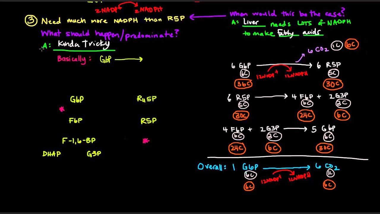 Pentose Phosphate Pathway (Part 3 of 5) - Control and Regulation (Details)