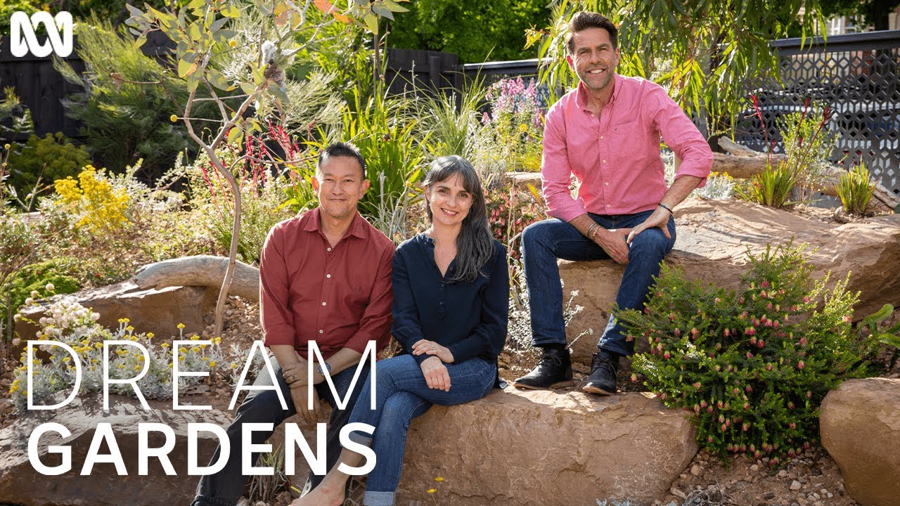 These Aussie natives will brighten up any garden  | Dream Gardens