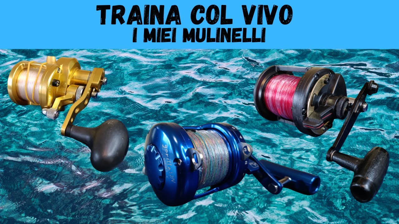 TRAINA COL VIVO - I MIEI MULINELLI!