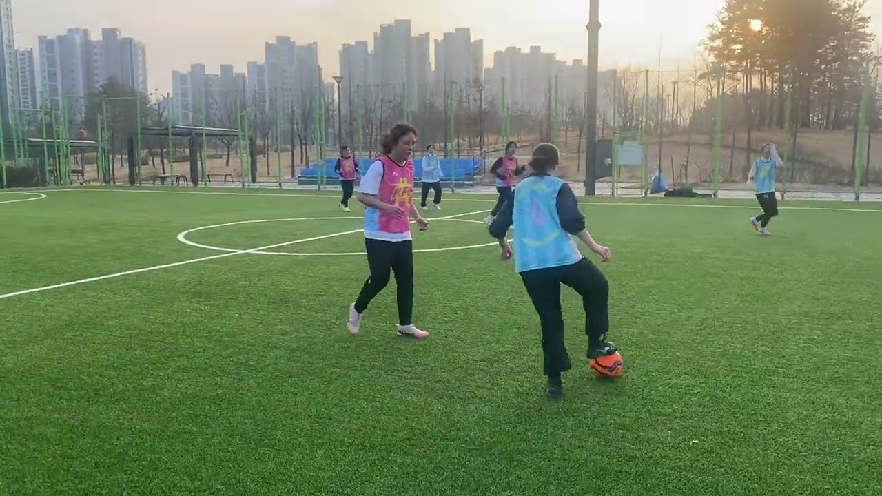 자체1