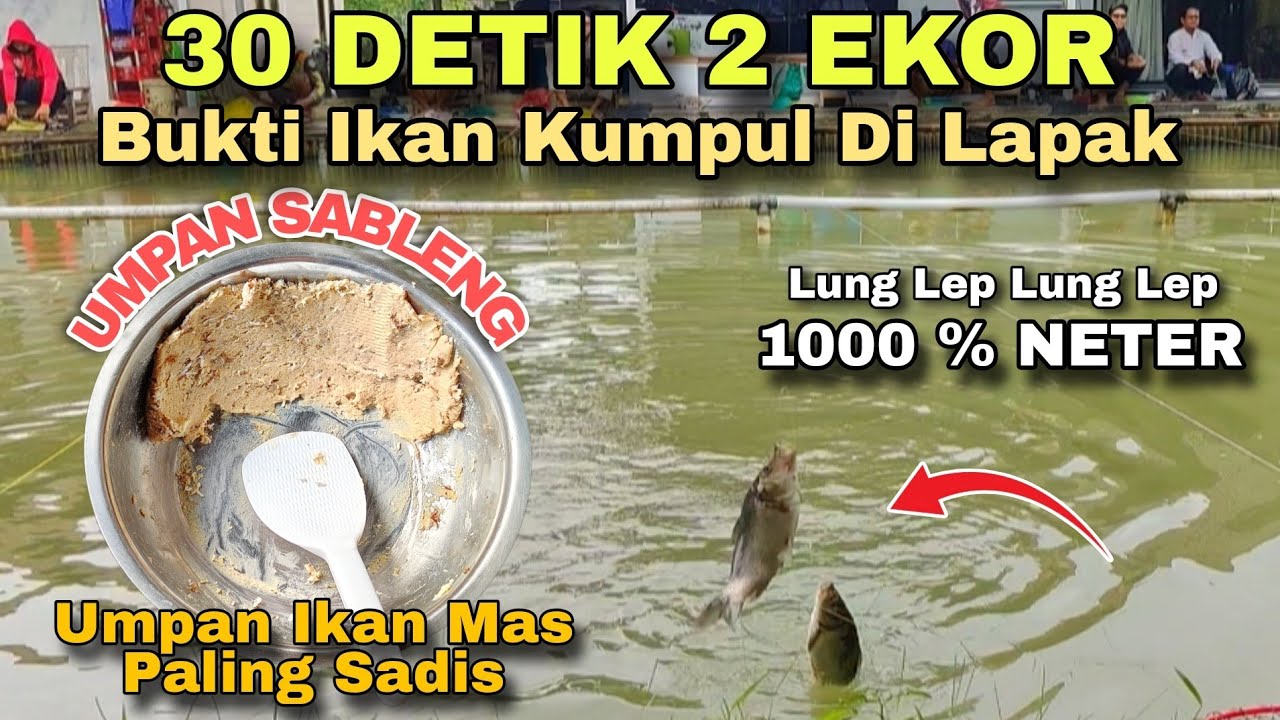 GAK NONTON GAK BAKALAN PERCAYA ‼️ Umpan Jatuh Ke Air Langsung Jadi Rebutan Ikan // Mancing Ikan Mas
