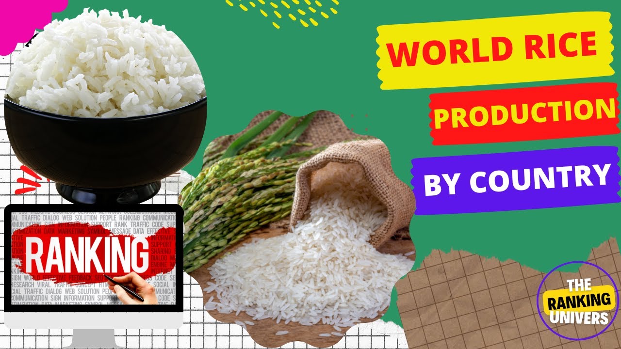 World Rice Production By Country